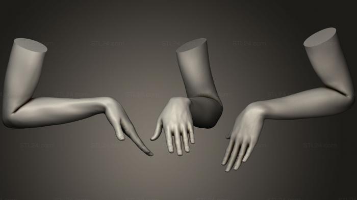 Анатомия скелеты и черепа (Поза женской руки 6, ANTM_0422) 3D модель для ЧПУ станка
